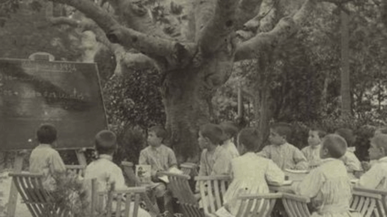 Amics del País, compromesa amb l’educació des del segle XIX