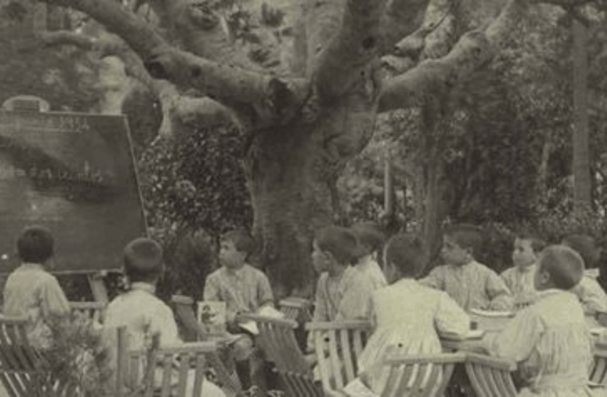 Amics del País, compromesa amb l’educació des del segle XIX