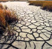 Problema número 1: L’aigua