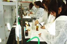 Els graduats ben formats, la universitat i la innovació