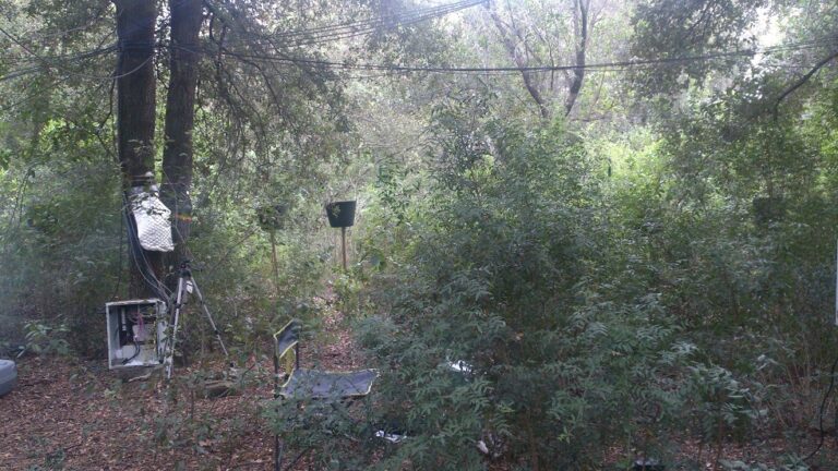 Visita al Centre de Recerca Ecològica i Aplicacions Forestals (CREAF)